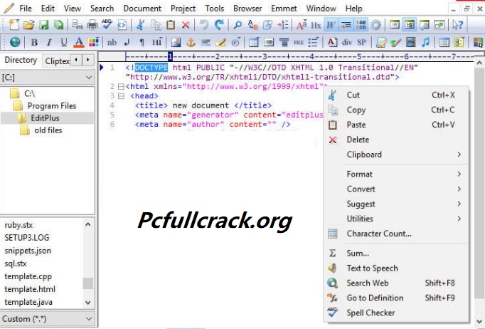 EditPlus Crack With Serial Key Download